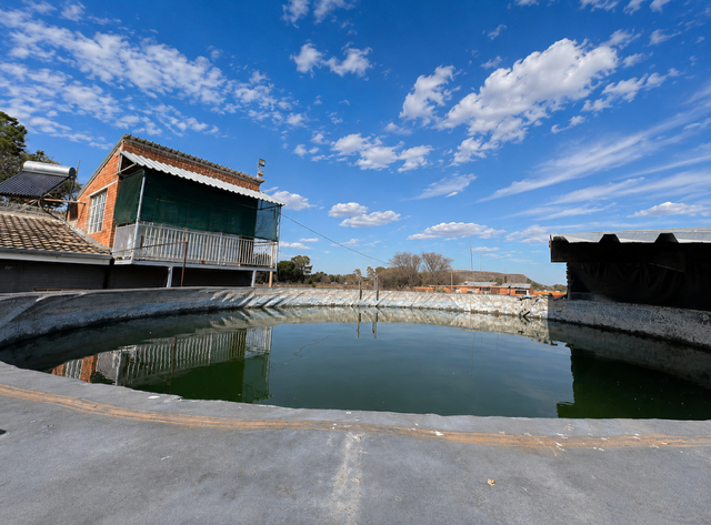 15 Bedroom Property for Sale in Ferreira Free State